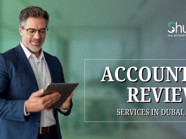 expert-accounts-review-services-to-improve-financial-accuracy