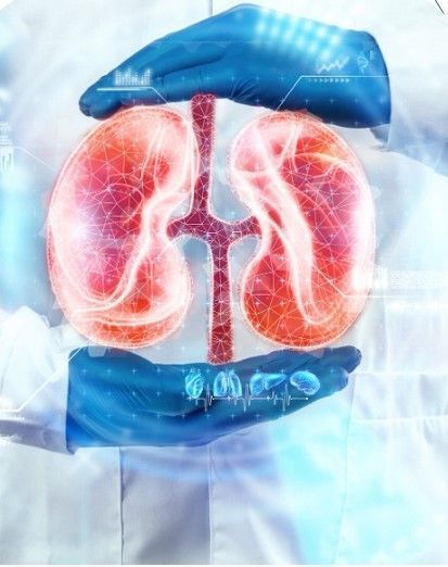 managing-kidney-health-with-the-right-treatment-big-0