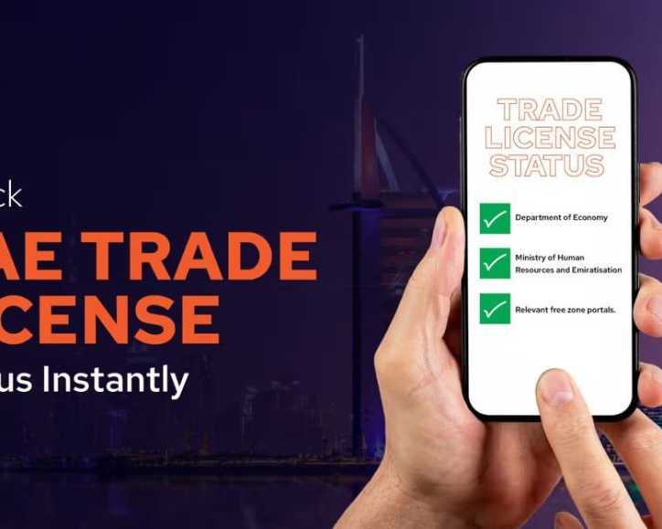 how-to-check-trade-license-online-in-uae-simple-guide