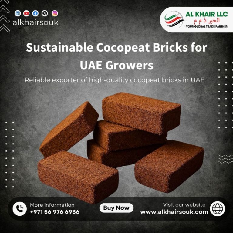coco-peat-suppliers-in-uae-premium-growing-media-big-1