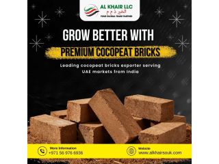 coco-peat-suppliers-in-uae-premium-growing-media-small-0