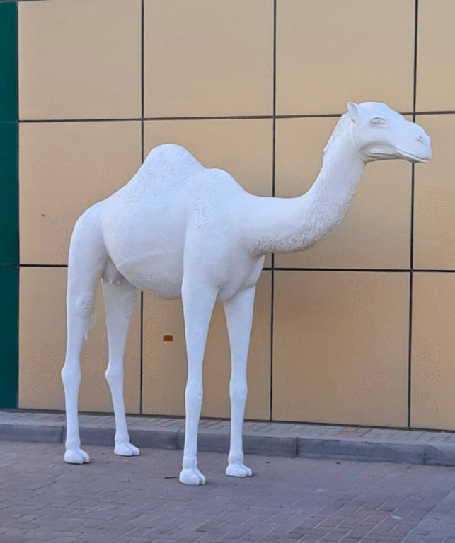 life-size-camel-in-uae-big-0