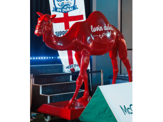 life-size-camel-in-uae-small-3