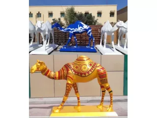 life-size-camel-in-uae-small-4