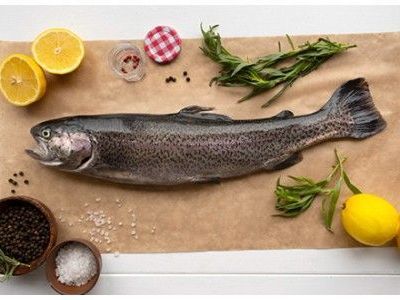 premium-fresh-frozen-seafood-supplier-east-fish