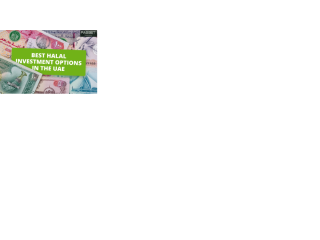 halal-portfolio-guide-for-halal-investment-in-uae-small-0