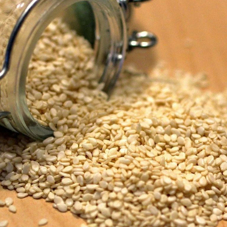 premium-sesame-seed-exporter-for-bulk-supply-big-0