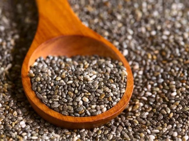 premium-chia-seed-supplier-for-bulk-orders