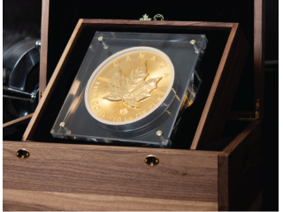 elite-bullion-storage-for-maximum-protection-ibv-small-0