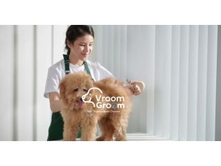 top-rated-pet-salons-in-dubai-how-to-pick-the-right-one-small-0