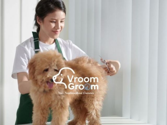 top-rated-pet-salons-in-dubai-how-to-pick-the-right-one