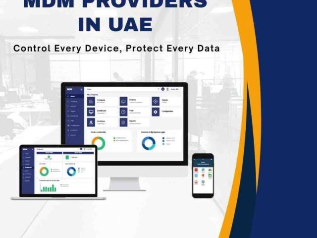 are-you-looking-for-top-mdm-providers-in-uae-today