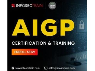 top-rated-aigp-exam-training-by-infosectrain-experts-small-0