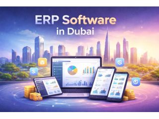 strategic-business-growth-with-erp-software-solutions-small-0