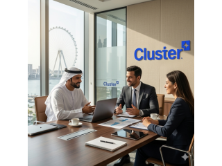 why-choose-professional-advisory-for-your-uae-journey-small-0