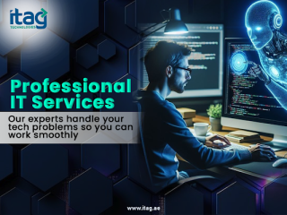 professional-it-consulting-services-ras-al-khaimah-small-0