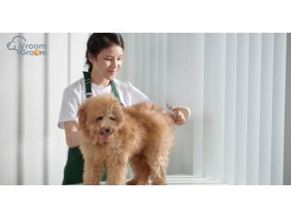 mobile-dog-groomers-dubai-doorstep-grooming-at-its-best-small-0