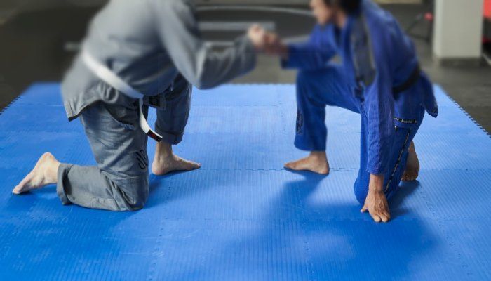 affordable-price-martial-arts-mat-in-uae-gravolite-gulf-big-0