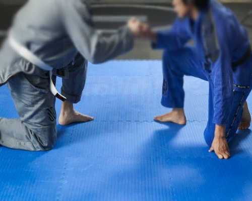 affordable-price-martial-arts-mat-in-uae-gravolite-gulf