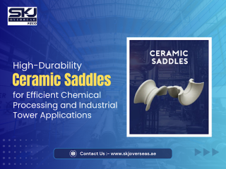 ceramic-saddles-tower-packing-for-column-use-small-0