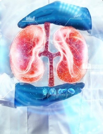 effective-chronic-kidney-disease-treatment-options-big-0