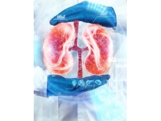 effective-chronic-kidney-disease-treatment-options-small-0