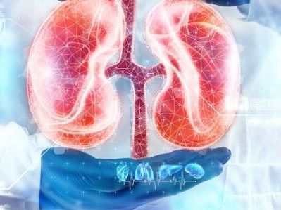 effective-chronic-kidney-disease-treatment-options