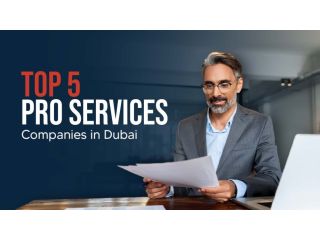 best-pro-services-companies-in-dubai-uae-small-0