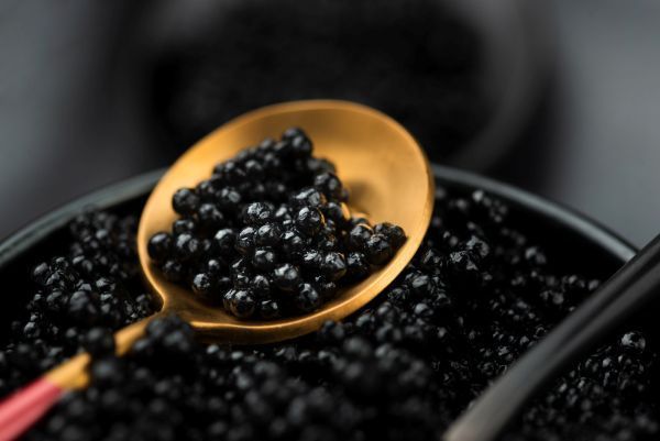 buy-the-best-caviar-in-dubai-wnf-caviar-heritage-big-0