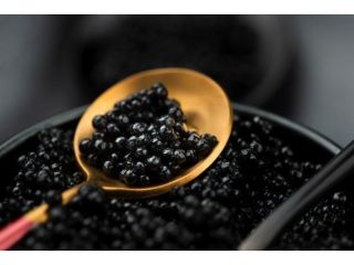 buy-the-best-caviar-in-dubai-wnf-caviar-heritage-small-0