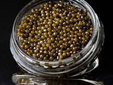 osetra-caviar-a-premium-and-tasty-seafood