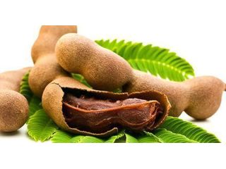 trusted-tamarind-exporter-for-bulk-global-supply-small-0