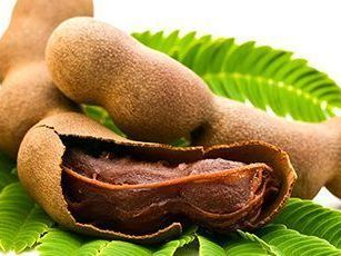 trusted-tamarind-exporter-for-bulk-global-supply