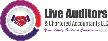expert-corporate-tax-consultant-in-dubai-big-0