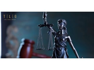 top-law-firm-in-dubai-best-advocates-in-downtown-tlg-small-0