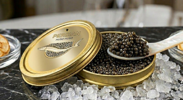 buy-premium-caviar-persian-beluga-huso-huso-in-dubai-big-0