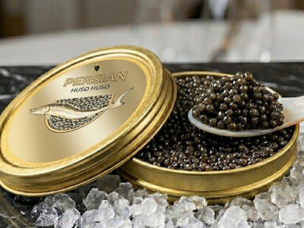 buy-premium-caviar-persian-beluga-huso-huso-in-dubai