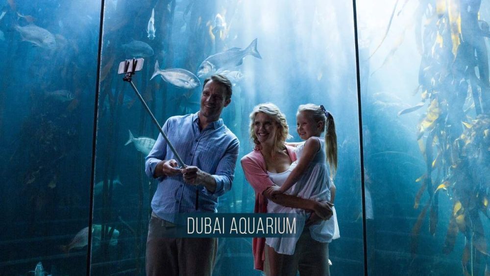dubai-aquarium-tickets-zoo-experience-big-0