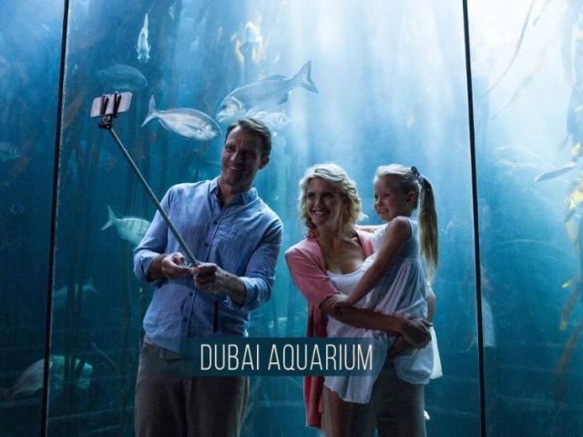 dubai-aquarium-tickets-zoo-experience
