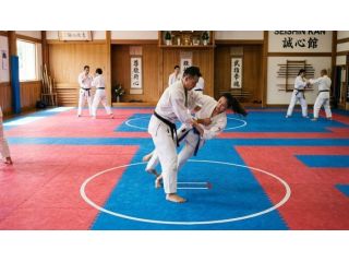 online-buy-mma-mat-in-dubai-gravolite-gulf-small-0