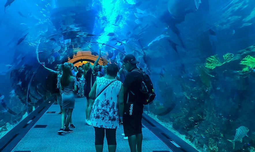 dubai-aquarium-and-underwater-zoo-tickets-guide-big-0
