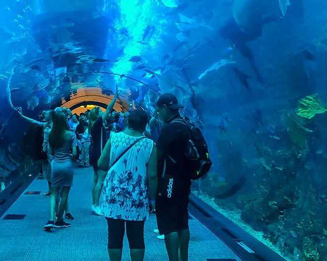 dubai-aquarium-and-underwater-zoo-tickets-guide