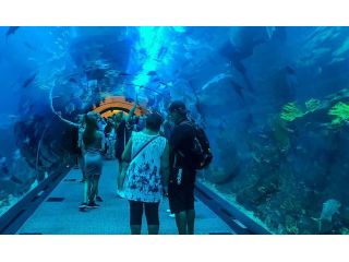 dubai-aquarium-and-underwater-zoo-tickets-guide-small-0