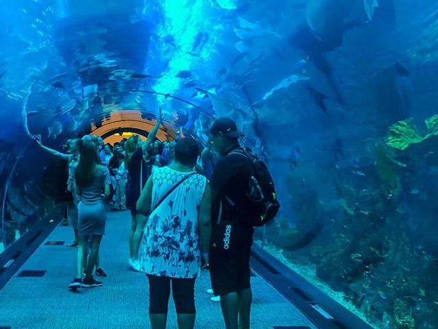 dubai-aquarium-and-underwater-zoo-tickets-guide