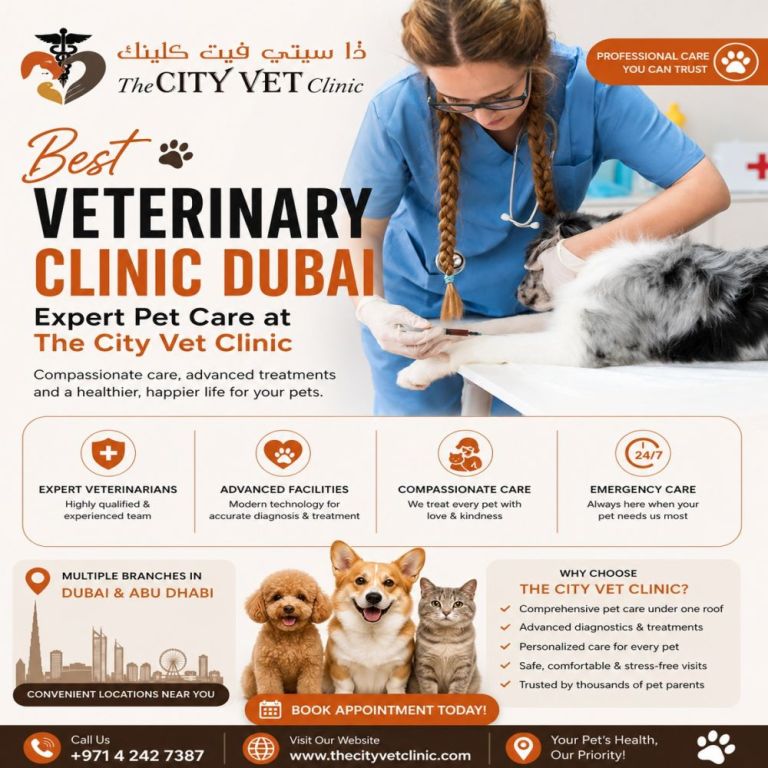 veterinary-clinic-dubai-expert-pet-care-at-the-city-vet-clinic-big-0