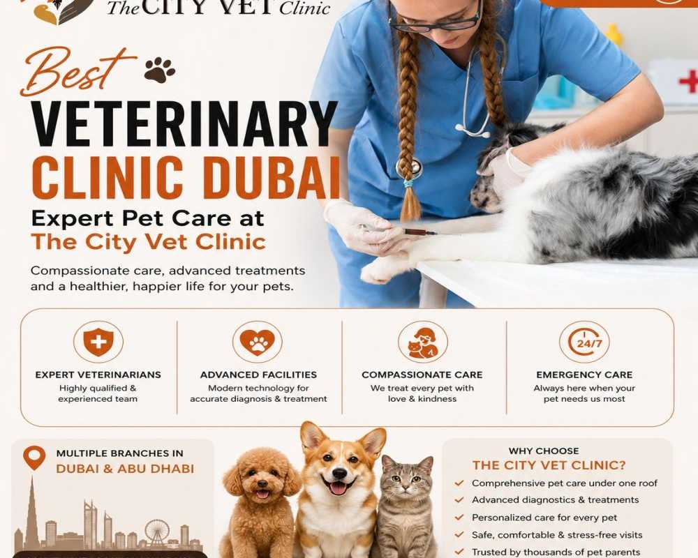 veterinary-clinic-dubai-expert-pet-care-at-the-city-vet-clinic