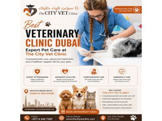 veterinary-clinic-dubai-expert-pet-care-at-the-city-vet-clinic-small-0
