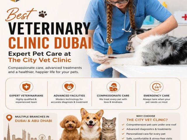 veterinary-clinic-dubai-expert-pet-care-at-the-city-vet-clinic