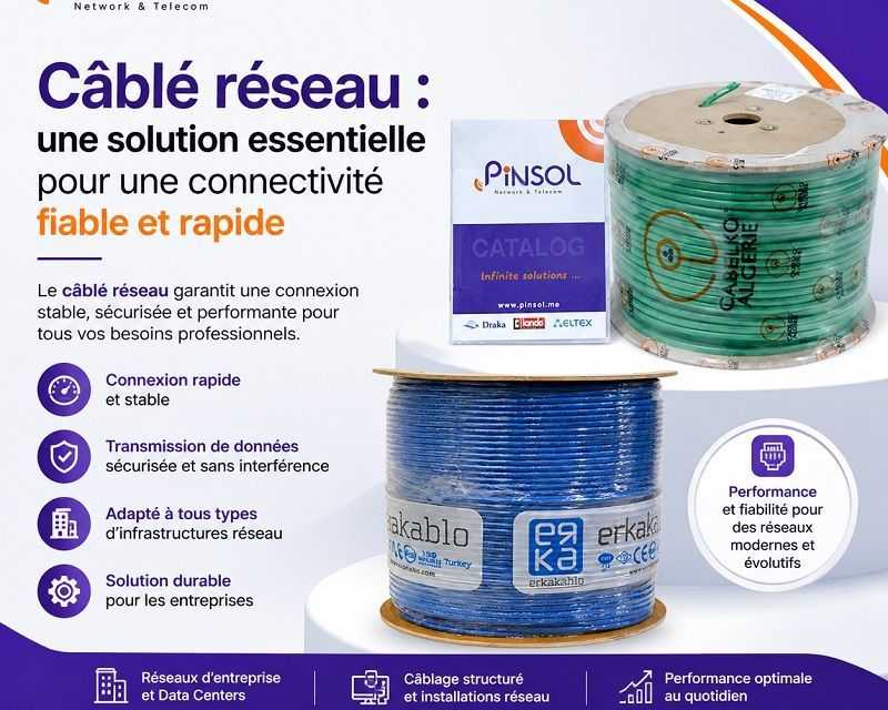 cable-reseau-une-solution-essentielle-pour-une-connectivite