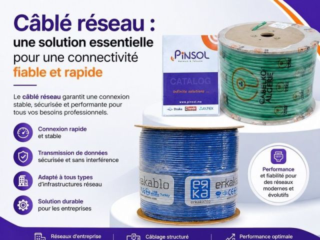 cable-reseau-une-solution-essentielle-pour-une-connectivite
